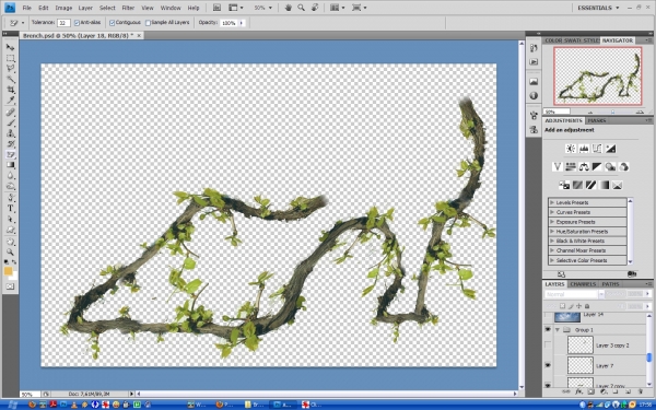 Creation of Branch: Step 6